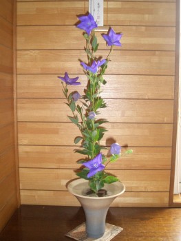 和の稽古 茶道塾・華道塾・きもの塾