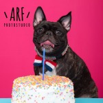 photo studio ARF!