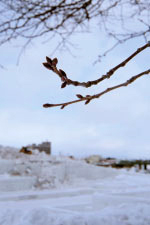 主役バトンタッチ