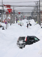 年始の労が報われる一年になりますように